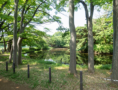 将軍池広場