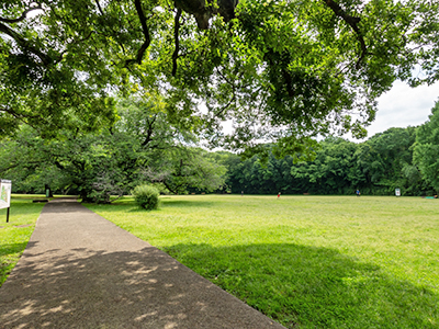 都立砧公園