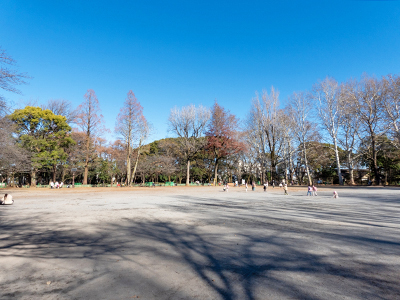 林試の森公園