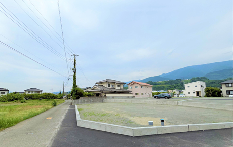 1号地