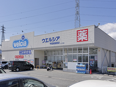 ウエルシア甲斐開国橋店