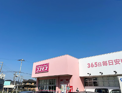 ドラッグストアコスモス 英賀保店