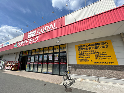 ゴダイドラッグ上野田店