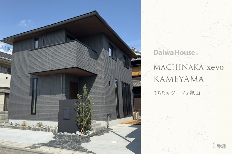 1号地
