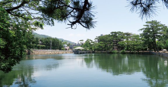 深田池公園（徒歩12分〜徒歩16分）