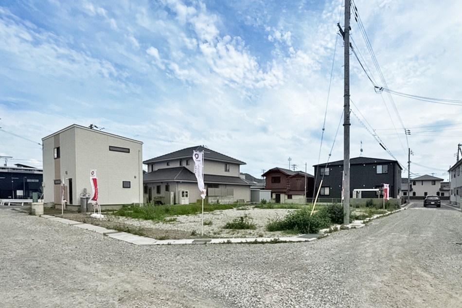 1号地