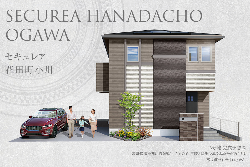 6号地