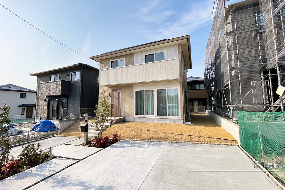 21号地