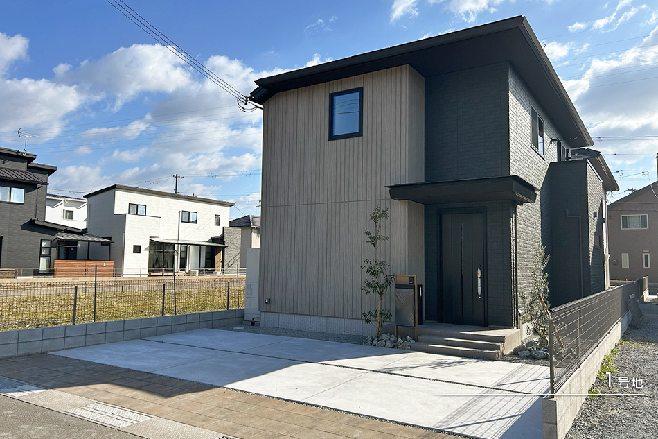 1号地