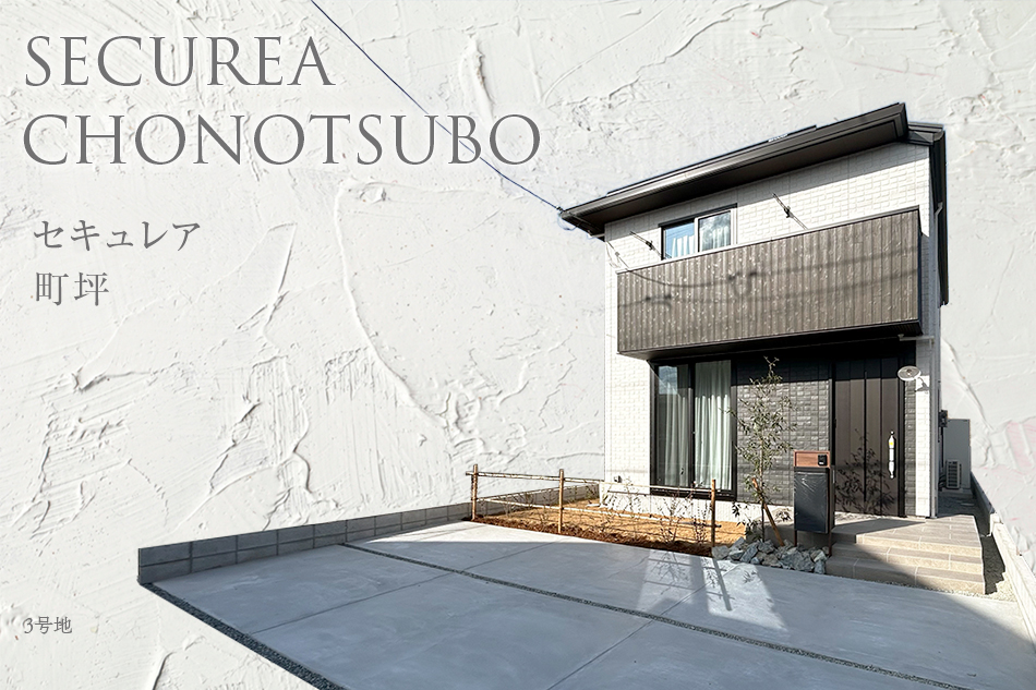 3号地