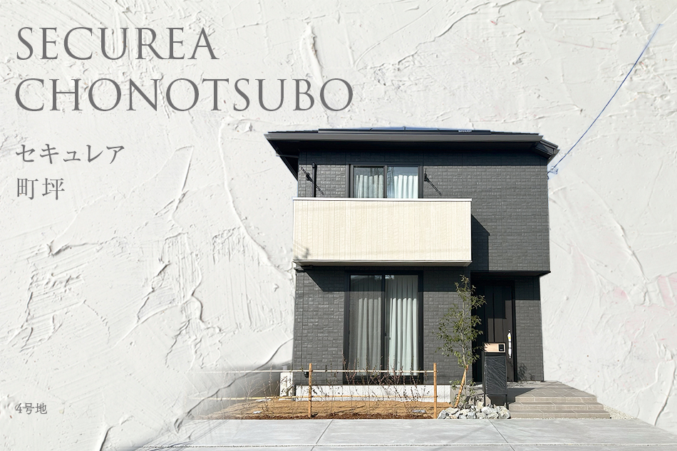 4号地