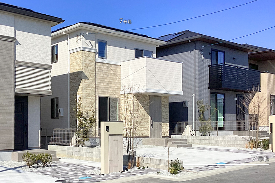 7号地