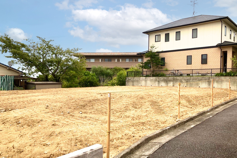 1号地