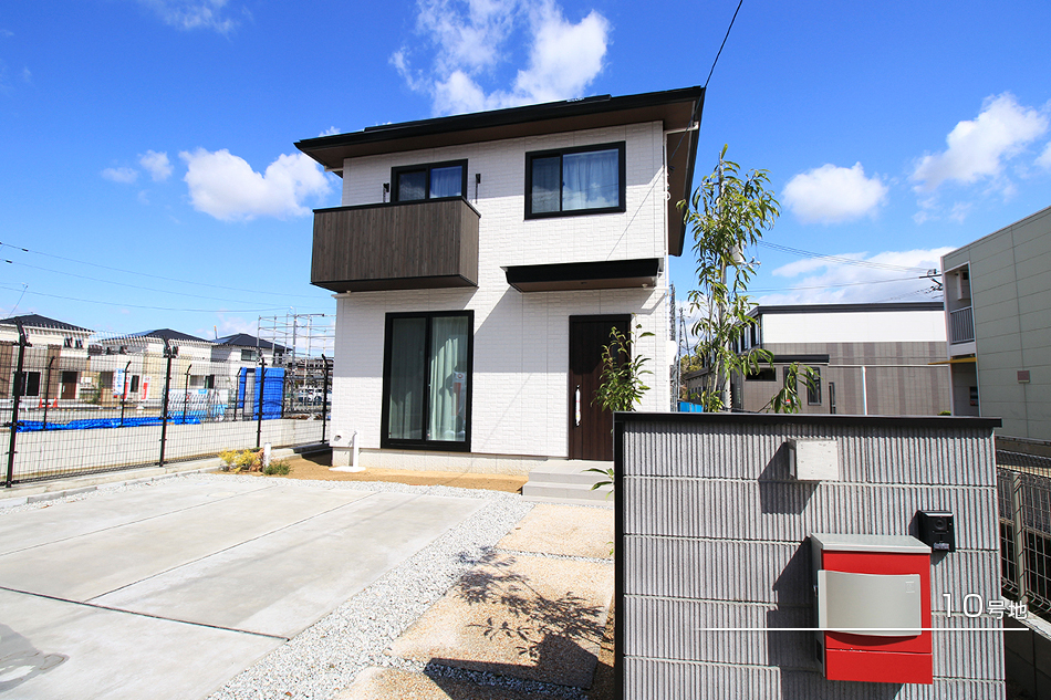 10号地