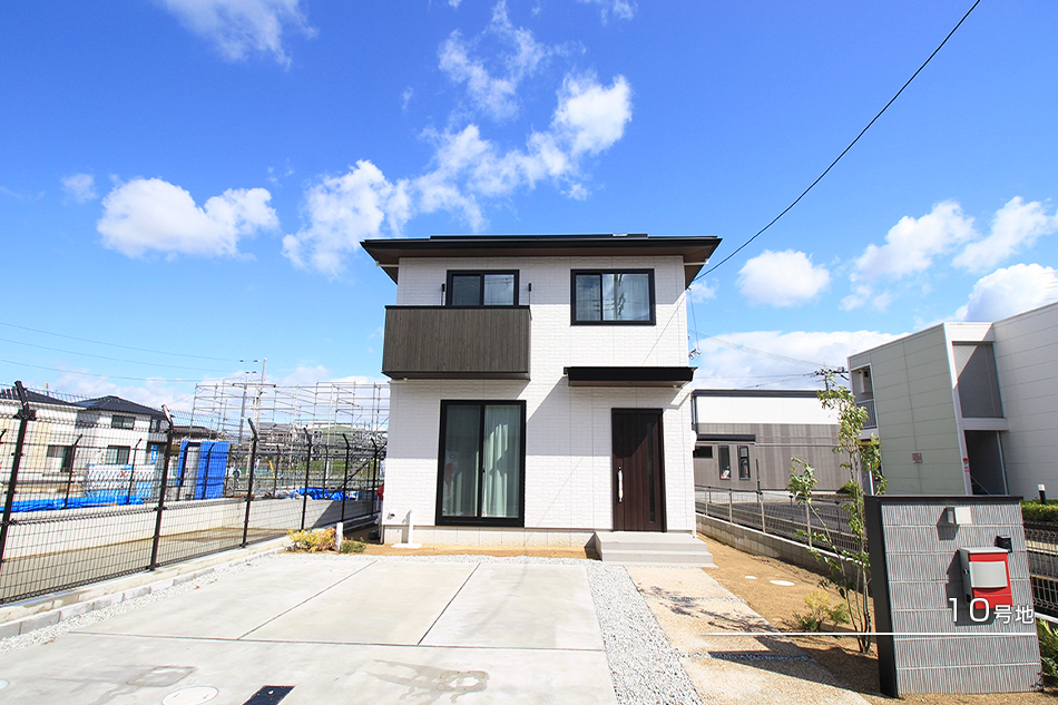 10号地