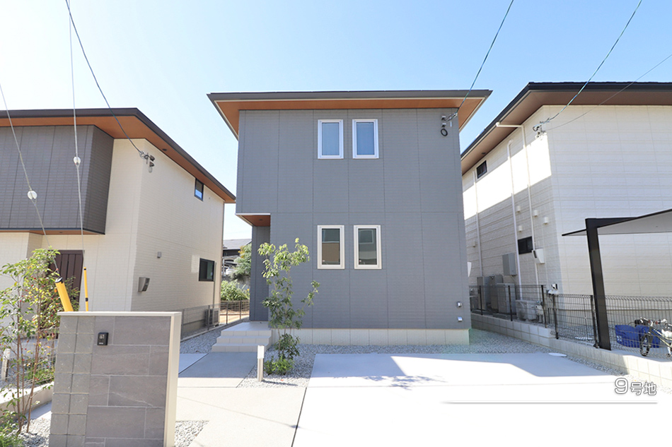 9号地
