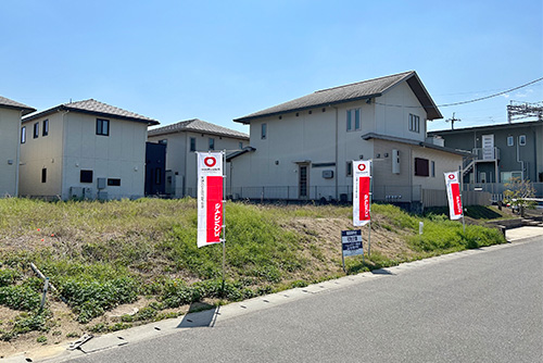 1号地