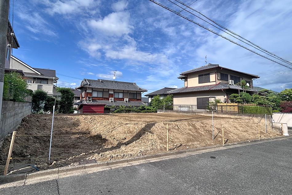 1号地