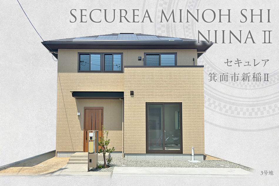 3号地
