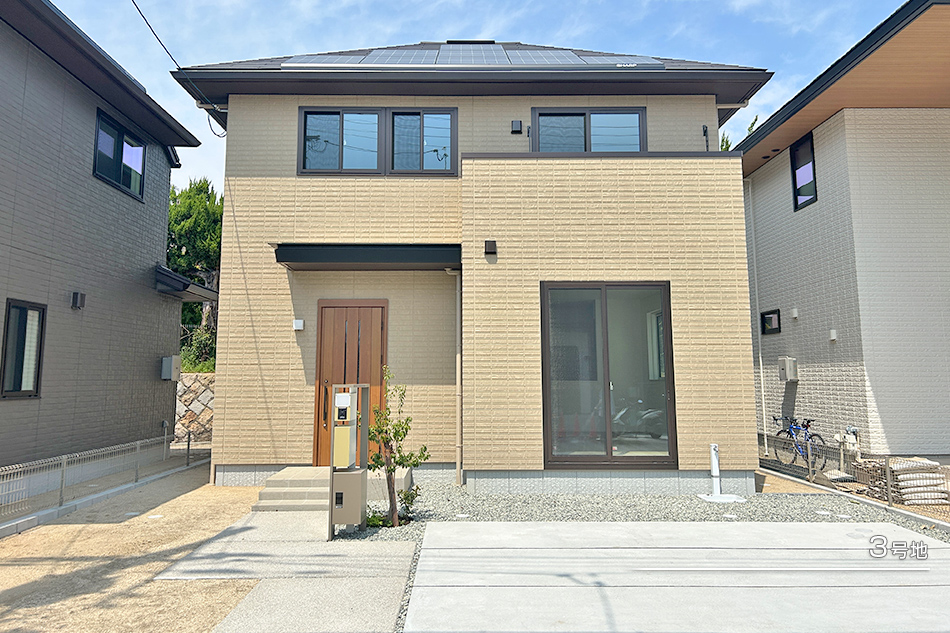 3号地