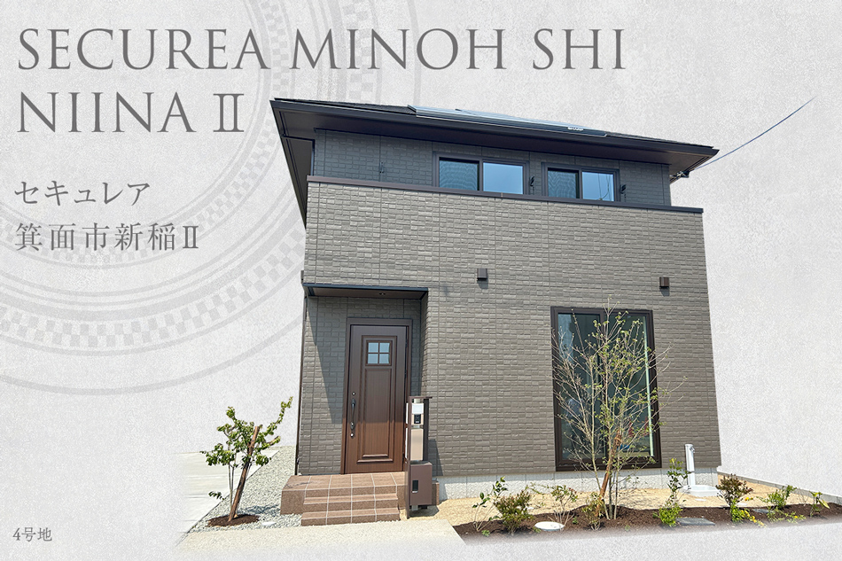 4号地
