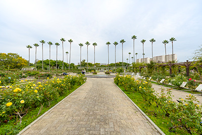 大阪市立長居植物園