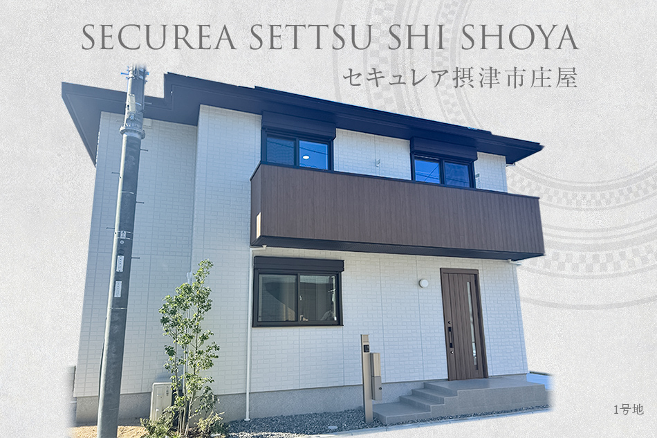 1号地