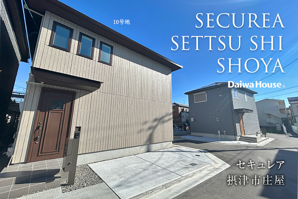 10号地