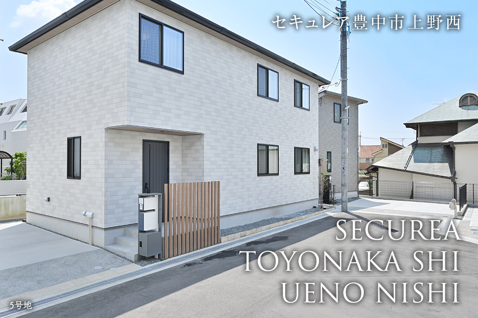 5号地