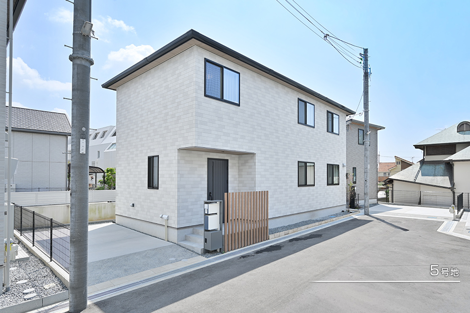 5号地