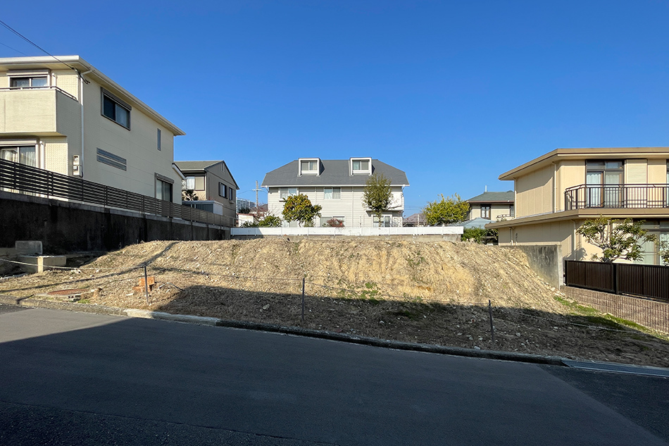 1号地