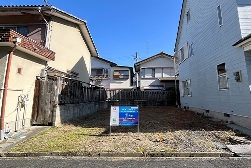 1号地