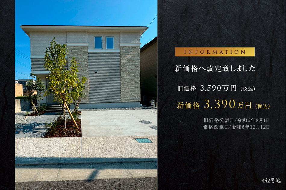 442号地