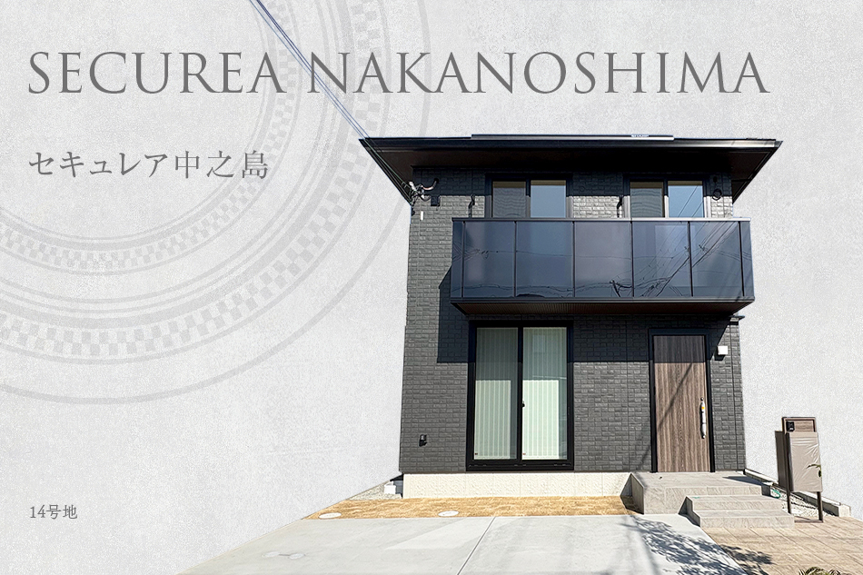 14号地