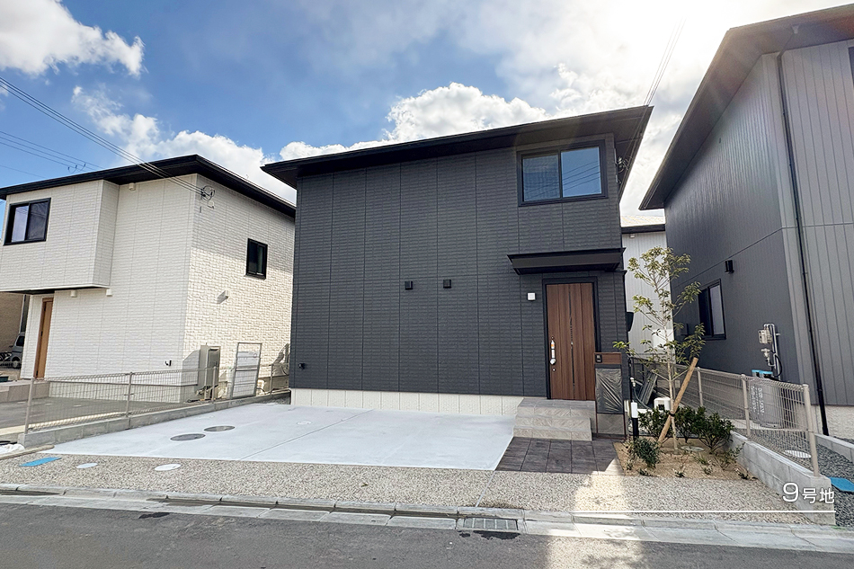 9号地