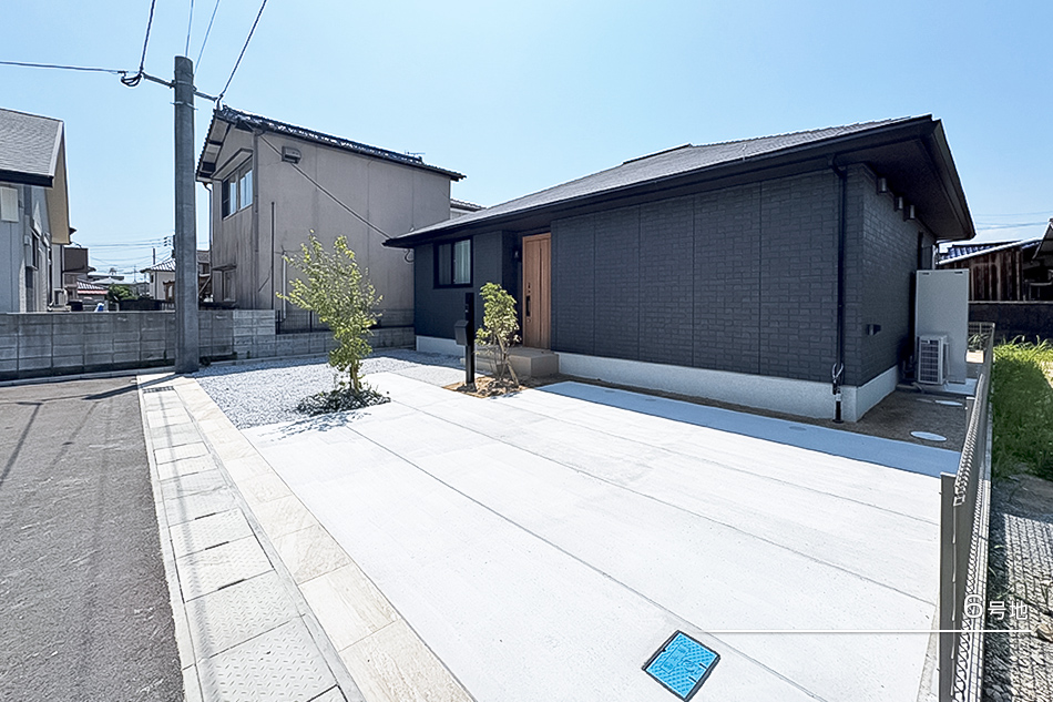 6号地