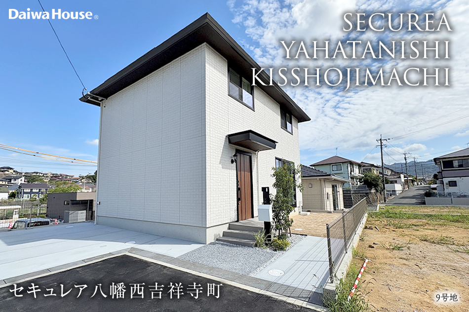 9号地