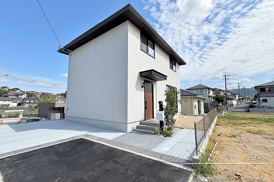 9号地