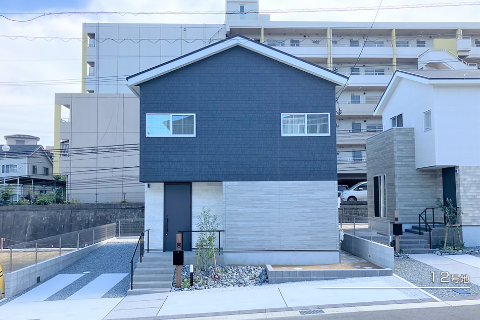 12号地