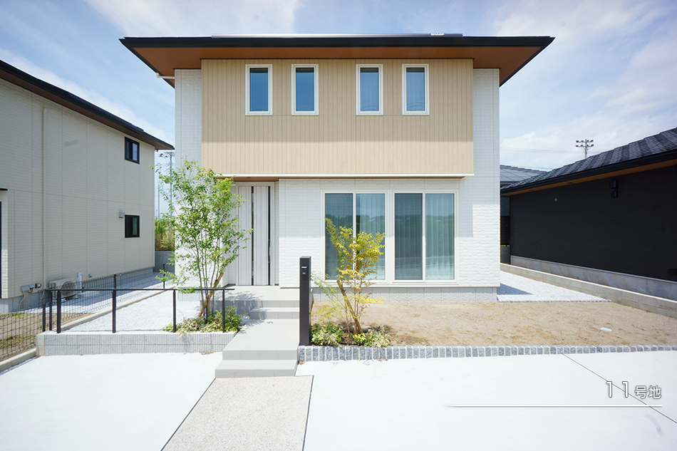 11号地