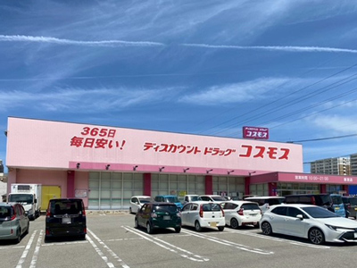 ドラッグストアコスモス新宮店