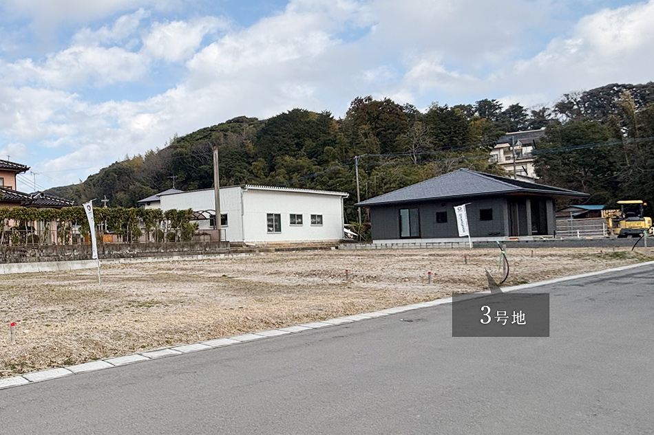 3号地