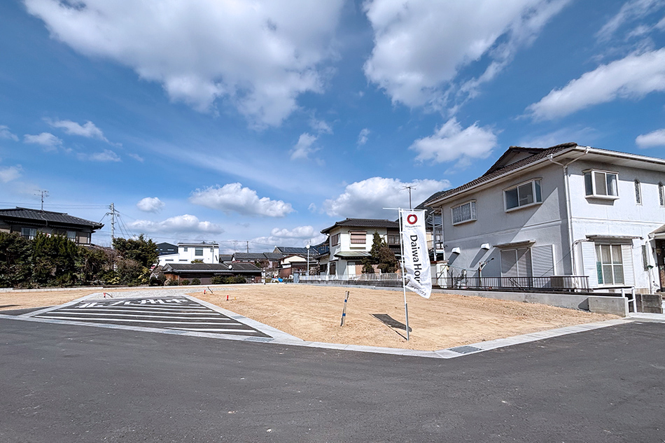 6号地