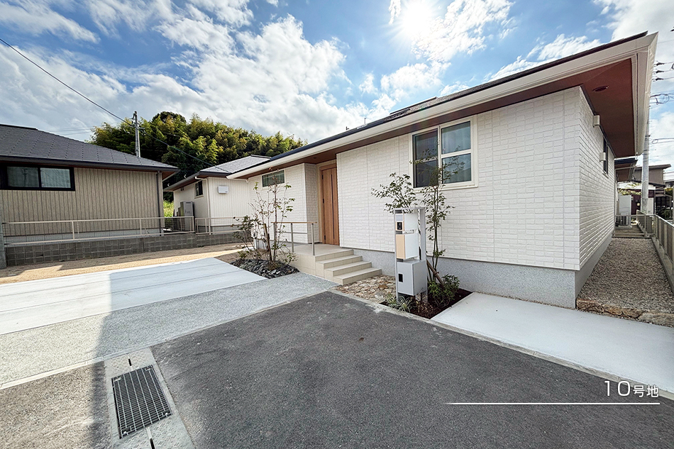 10号地