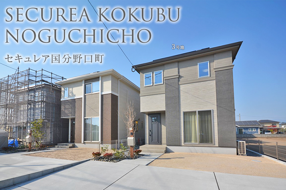 3号地