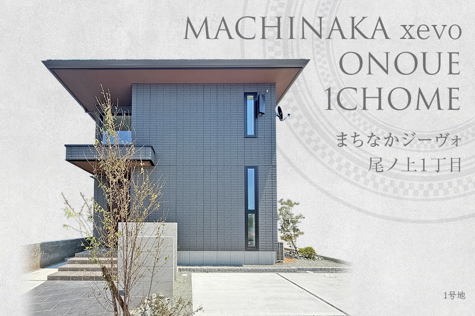 1号地