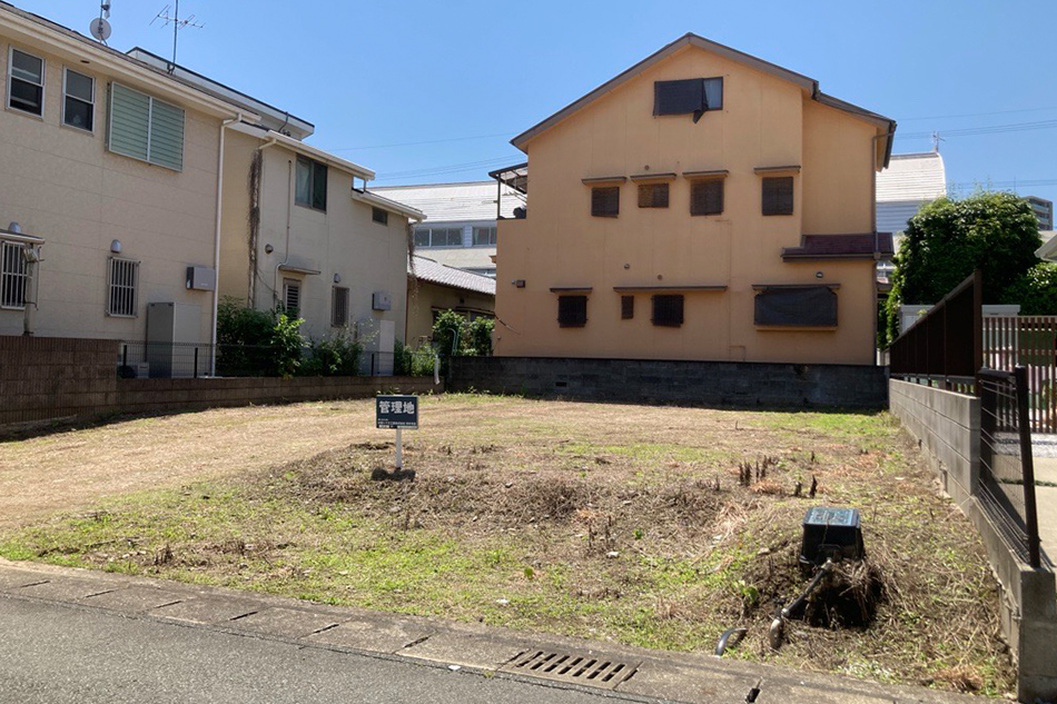 1号地