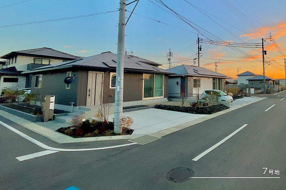 7号地