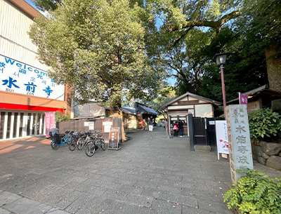 水前寺公園