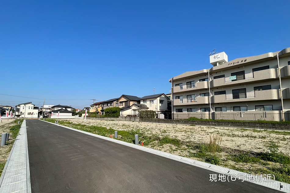 6号地